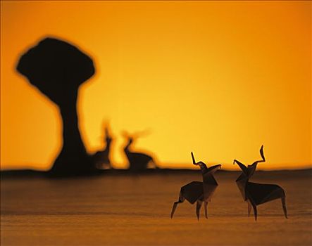 diễn đàn xổ số thần tài