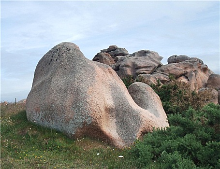 rong bach kim 888
