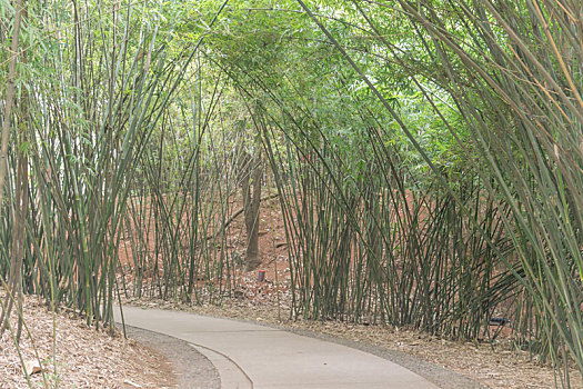 dự đoán số miền nam