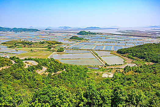 diễn đàn xổ số thần tài