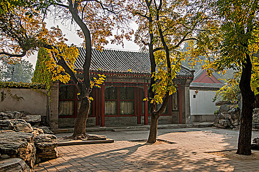 cầu bạch thủ hôm nay