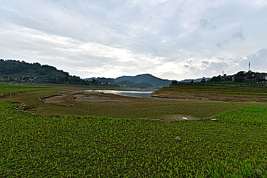 thong ke xsmb theo thang