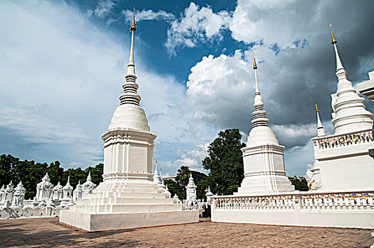 soi cau lo mien bac bach thu