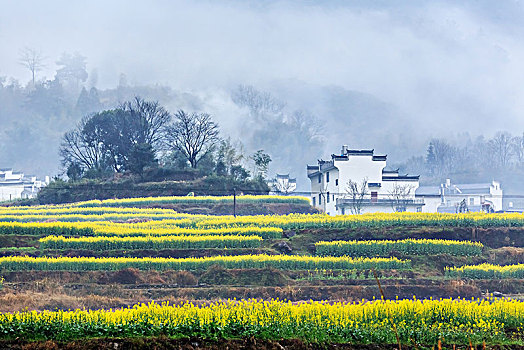 soi cầu xổ số đà nẵng
