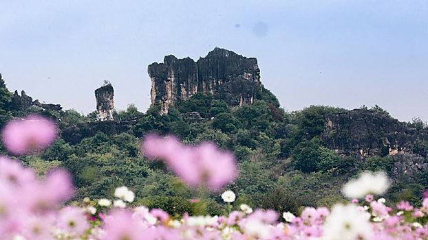 bạch thủ đề mb
