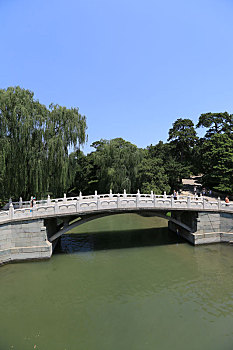 lô dàn
