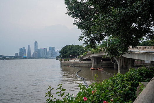 cau bach thu mien phi