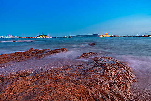 soi cau bach thu lo